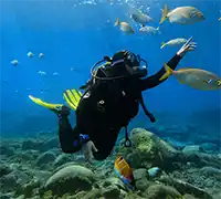 Miniatura 1 - Bautismo de Buceo en Costa Adeje