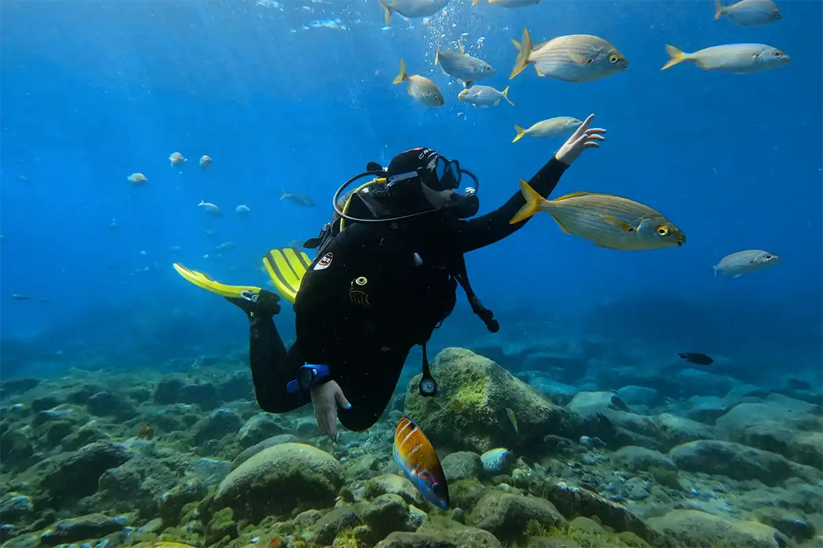 Bautismo de Buceo en Costa Adeje - Foto 1