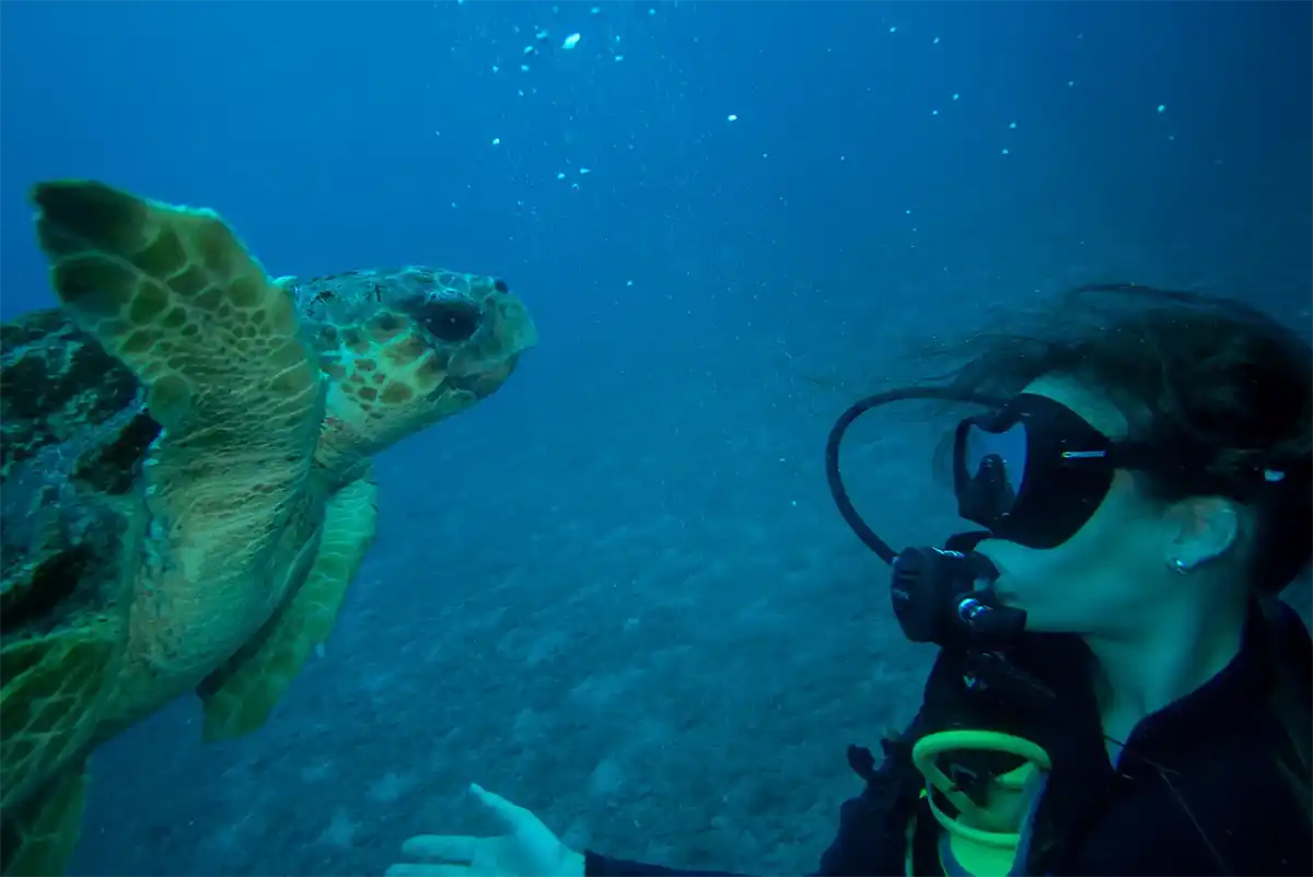 Bautismo de Buceo en Costa Adeje - Foto 10