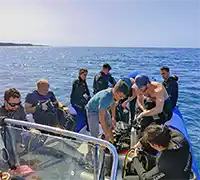 Miniatura 7 - Bautismo de Buceo en Costa Adeje