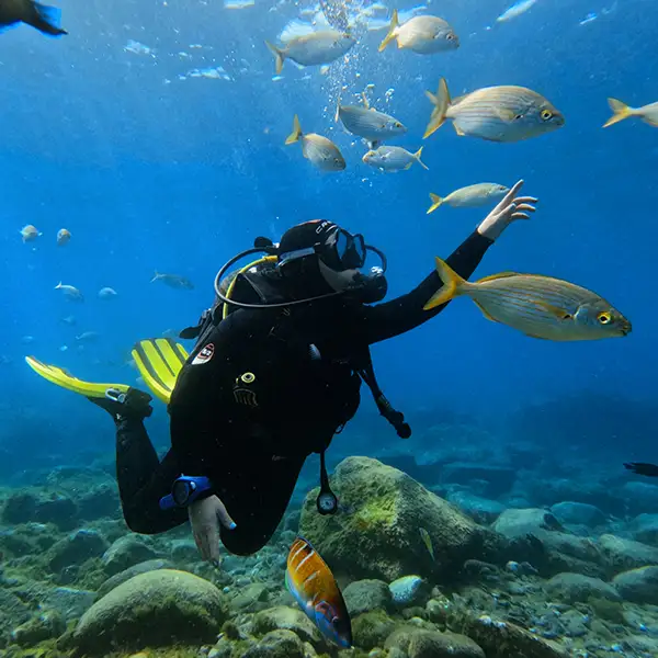 Bautismo de Buceo