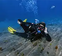 Vorschaubild 3 - Tauchen im Süden von Teneriffa