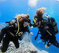 Vorschaubild 7 - Tauchen im Süden von Teneriffa