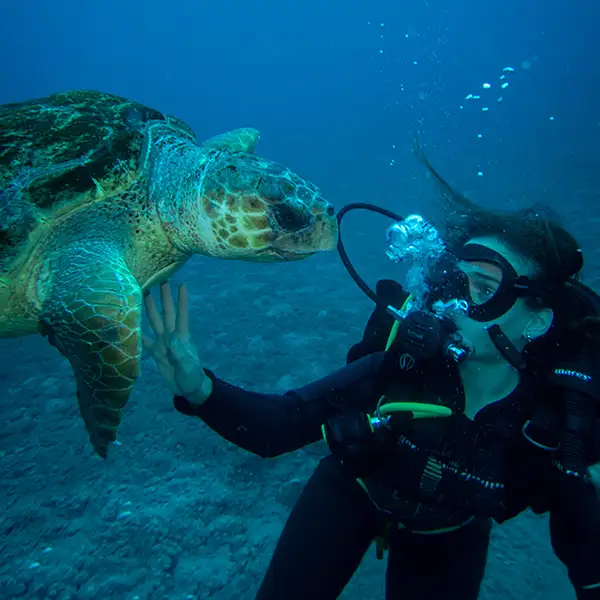 Experiencias de Buceo