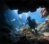 Thumbnail 1 - Scuba Diving for Certified Divers in Costa Adeje