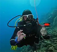 Thumbnail 14 - Scuba Diving for Certified Divers in Costa Adeje