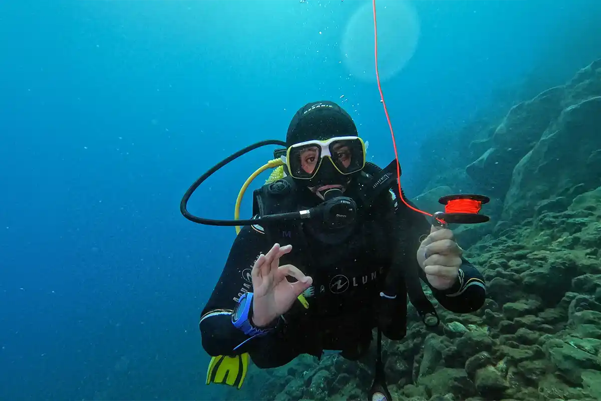Scuba Diving for Certified Divers in Costa Adeje - Foto 14