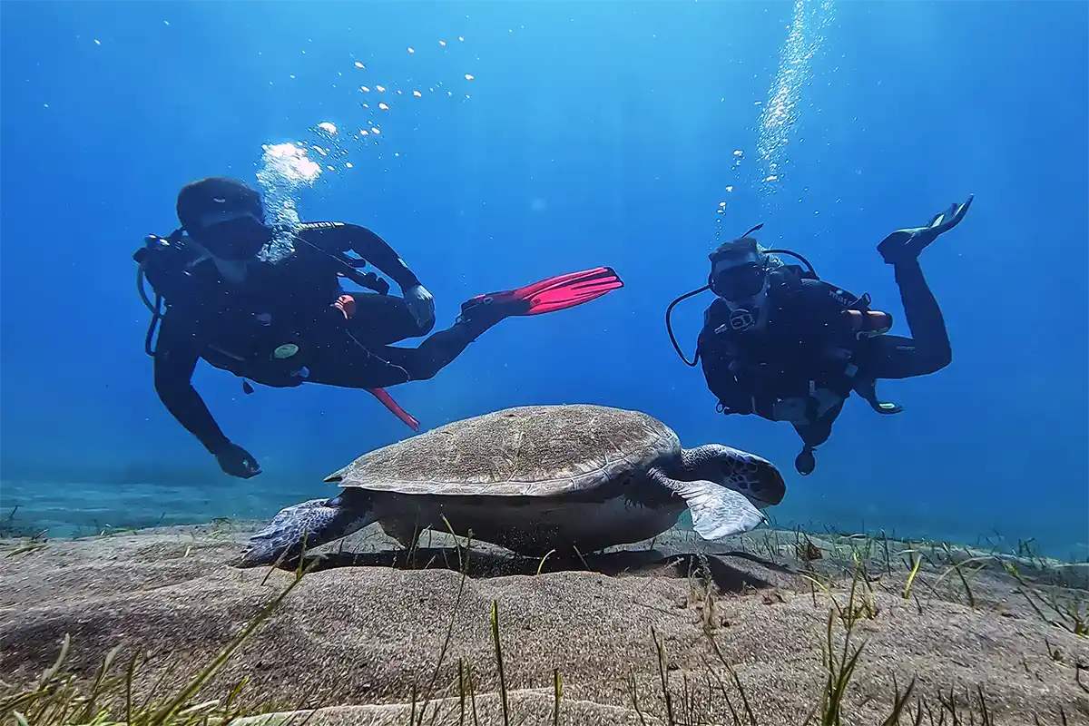 Scuba Diving for Certified Divers in Costa Adeje - Foto 16