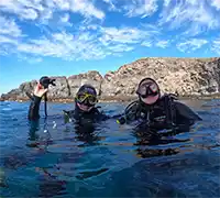 Thumbnail 9 - Scuba Diving for Certified Divers in Costa Adeje