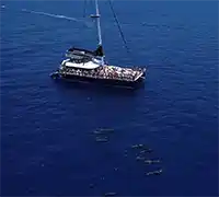 Miniatura 1 - Catamarán por Costa Adeje (3 Horas)
