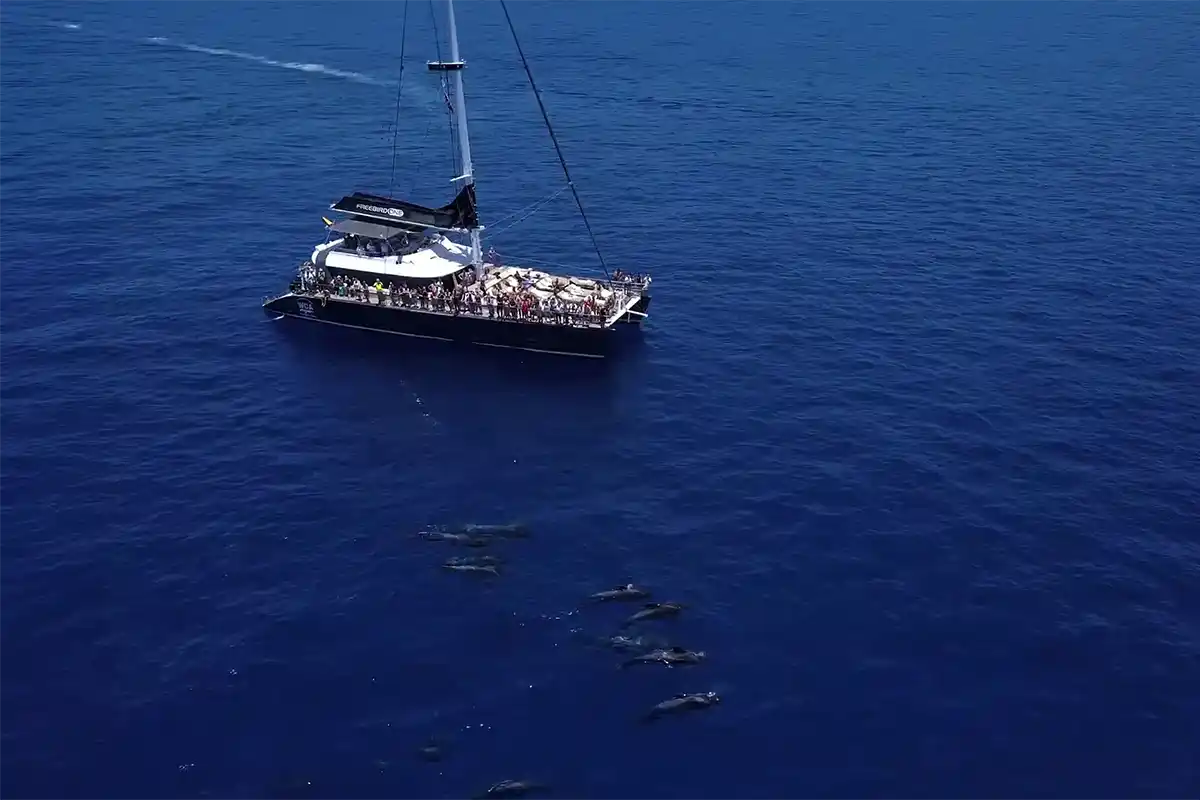 Catamarán por Costa Adeje (3 Horas) - Foto 1