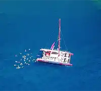 Miniatura 10 - Catamarán por Costa Adeje (3 Horas)