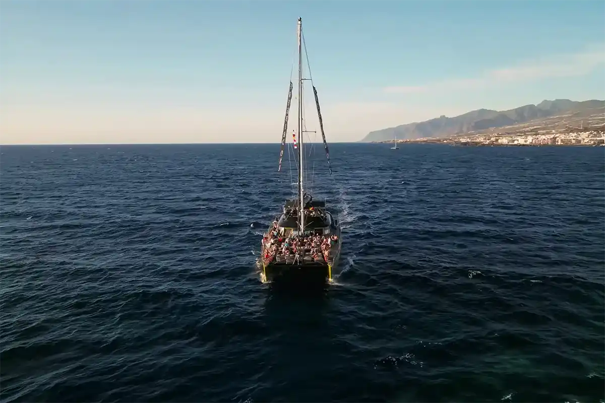 Catamarán por Costa Adeje (3 Horas) - Foto 11