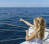 Miniatura 12 - Catamarán por Costa Adeje (3 Horas)