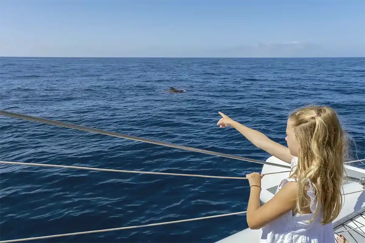 Catamarán por Costa Adeje (3 Horas) - Foto 12