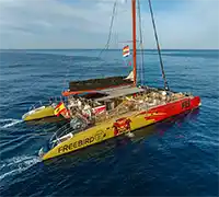 Miniatura 16 - Catamarán por Costa Adeje (3 Horas)