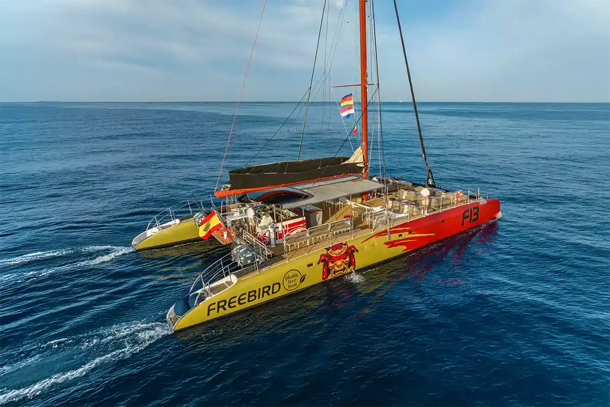 Catamarán por Costa Adeje (3 Horas) - Foto 16