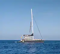 Miniatura 20 - Catamarán por Costa Adeje (3 Horas)