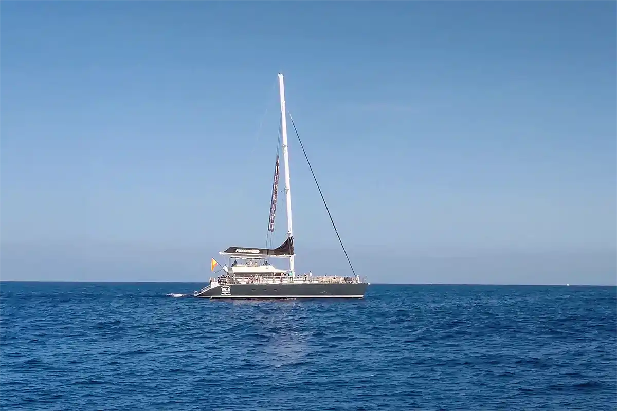 Catamarán por Costa Adeje (3 Horas) - Foto 20