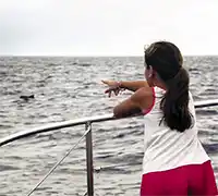 Miniatura 21 - Catamarán por Costa Adeje (3 Horas)