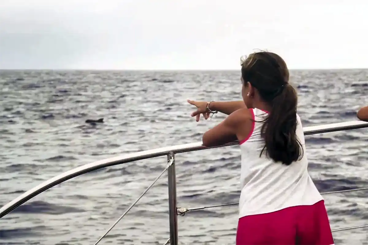Catamarán por Costa Adeje (3 Horas) - Foto 21