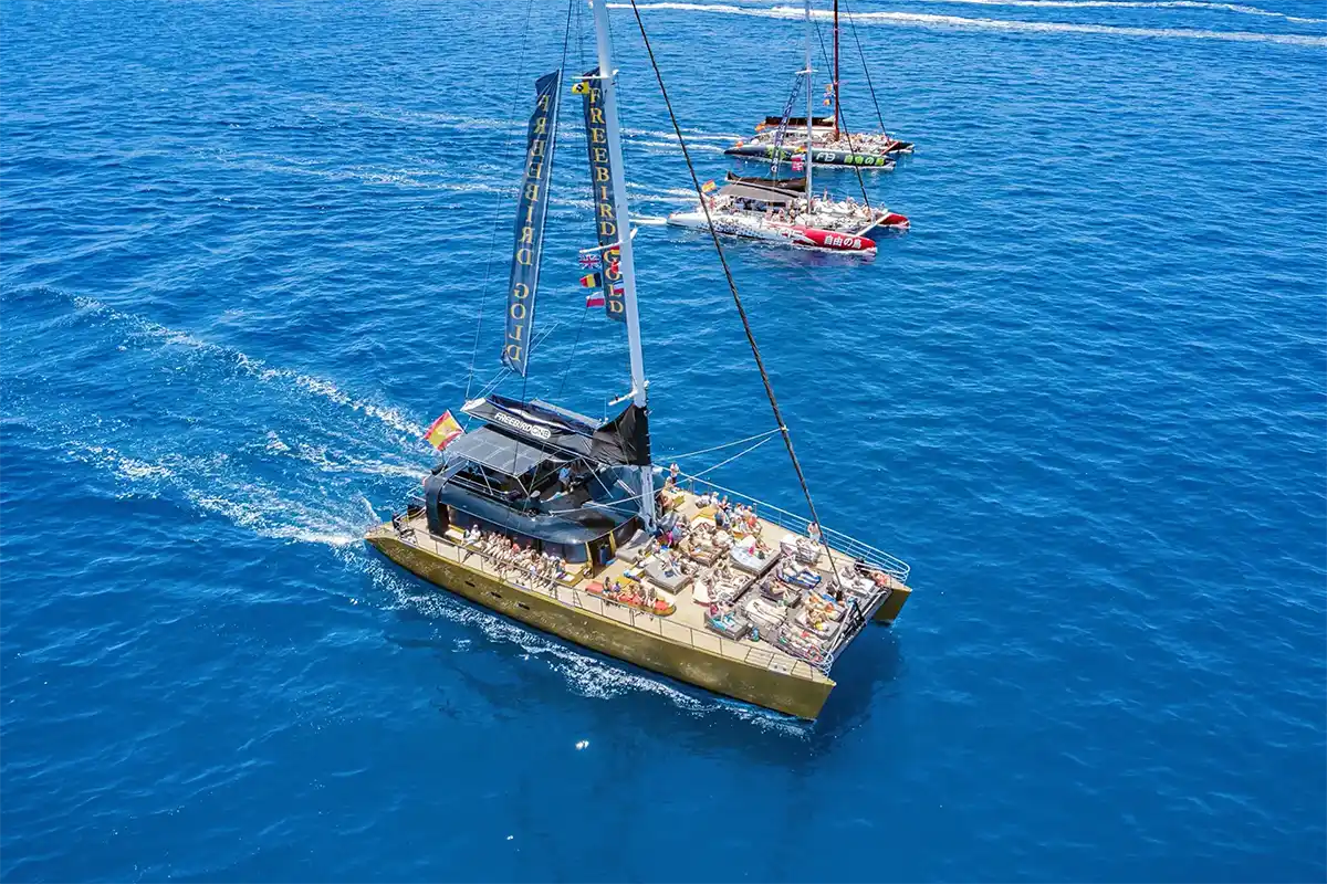 Catamarán por Costa Adeje (3 Horas) - Foto 25