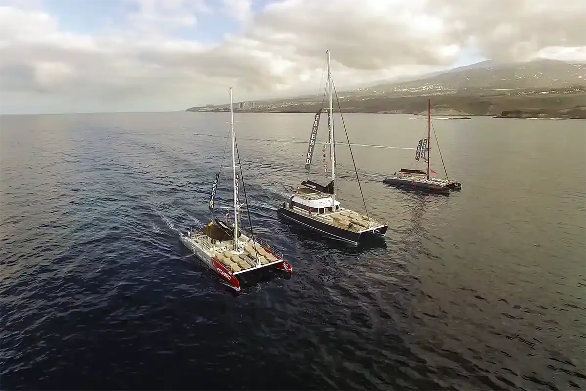 Catamarán por Costa Adeje (3 Horas) - Foto 26