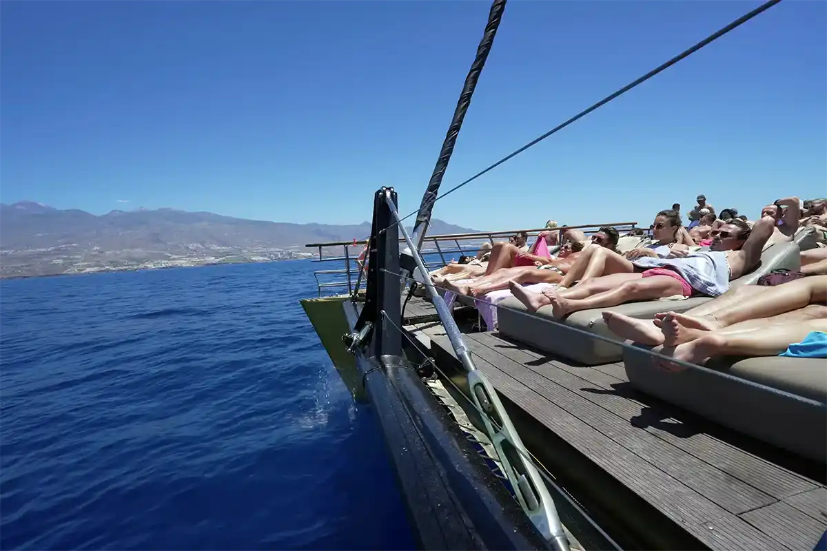 Catamarán por Costa Adeje (3 Horas) - Foto 3