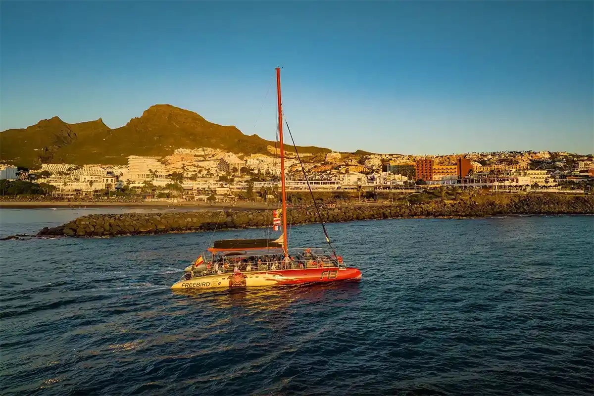 Catamarán por Costa Adeje (3 Horas) - Foto 7