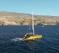 Miniatura 8 - Catamarán por Costa Adeje (3 Horas)