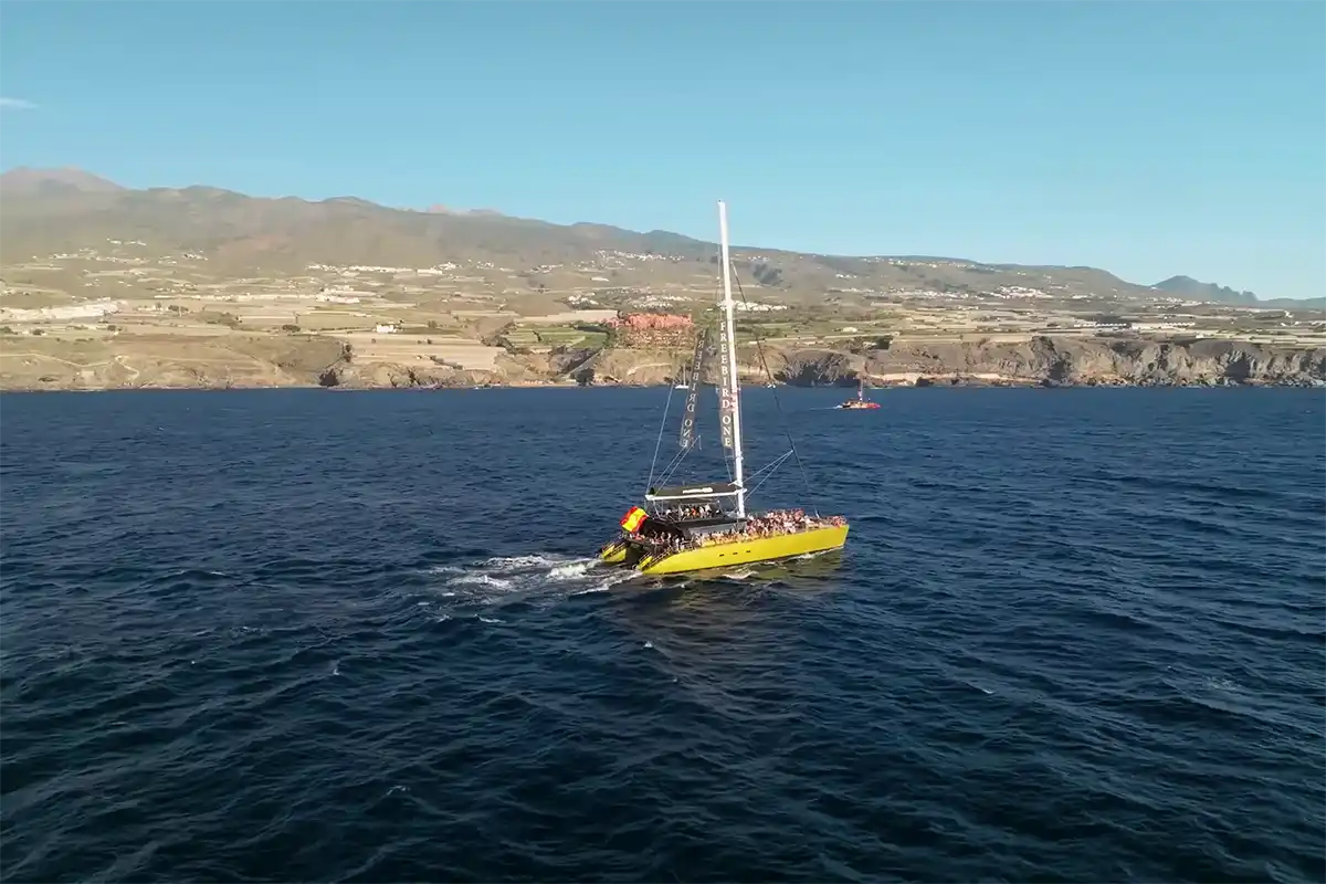 Catamarán por Costa Adeje (3 Horas) - Foto 8