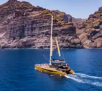 Miniatura 1 - Avistamiento de Cetáceos en Catamarán a Vela