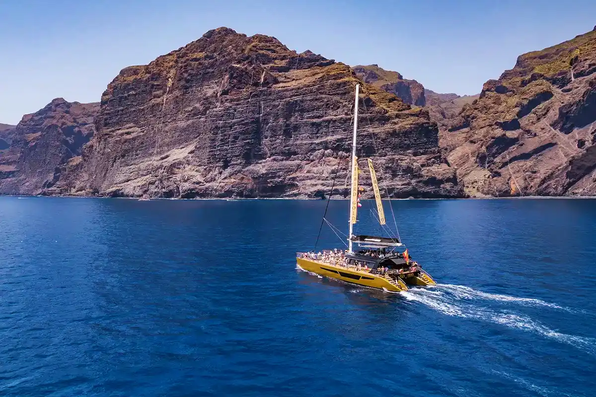 Avistamiento de Cetáceos en Catamarán a Vela - Foto 1