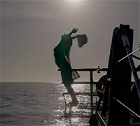 Miniatura 10 - Avistamiento de Cetáceos en Catamarán a Vela