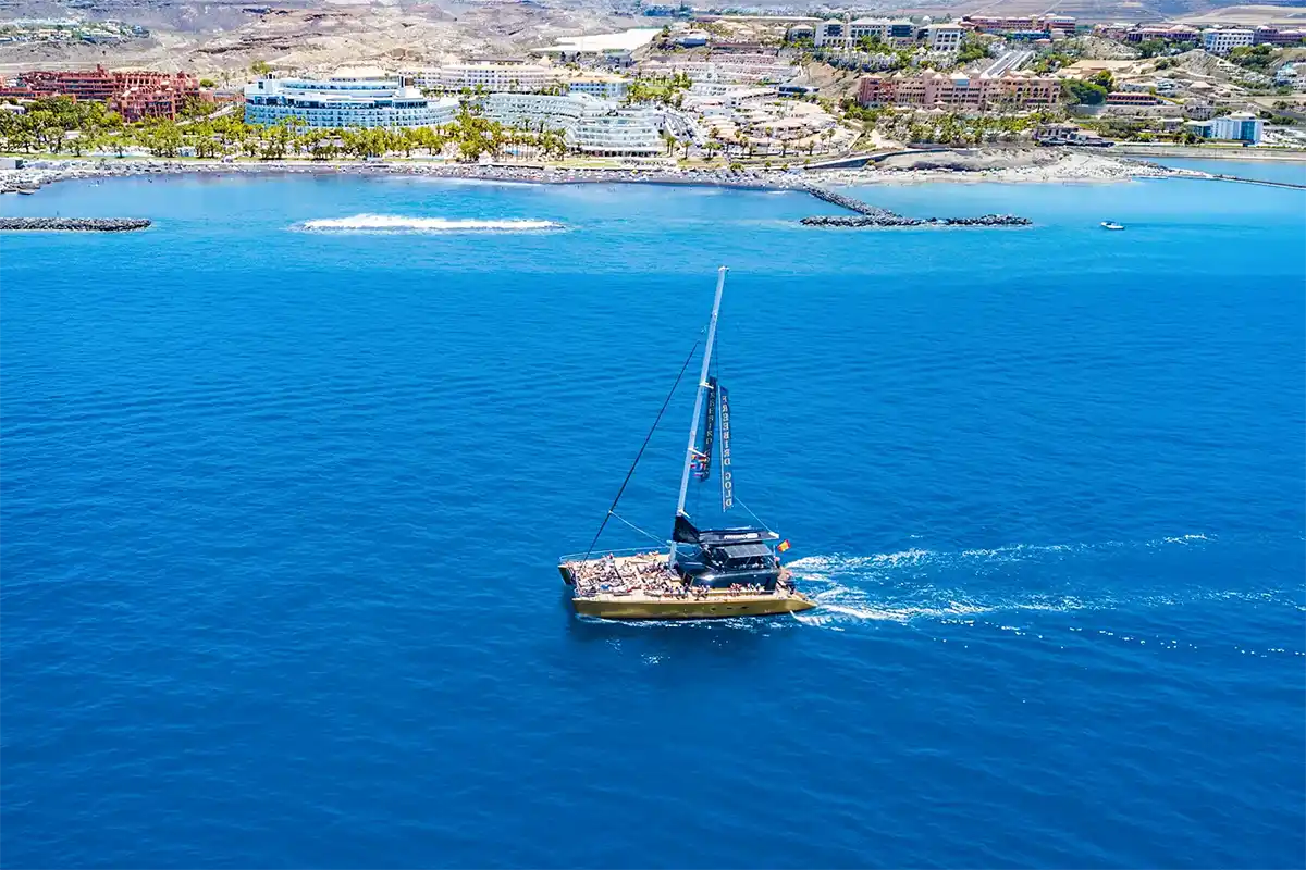 Avistamiento de Cetáceos en Catamarán a Vela - Foto 12