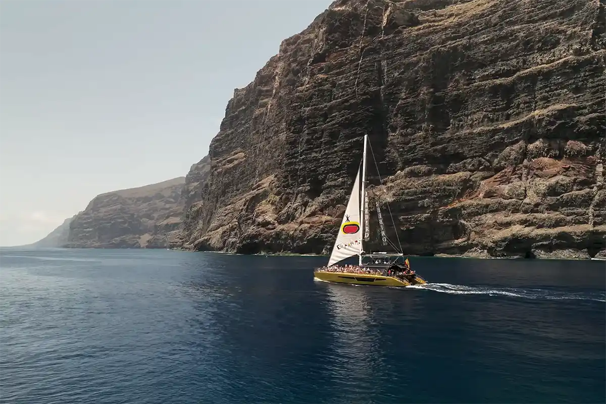 Avistamiento de Cetáceos en Catamarán a Vela - Foto 15