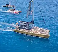 Miniatura 18 - Avistamiento de Cetáceos en Catamarán a Vela