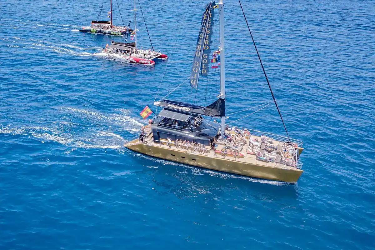 Avistamiento de Cetáceos en Catamarán a Vela - Foto 18