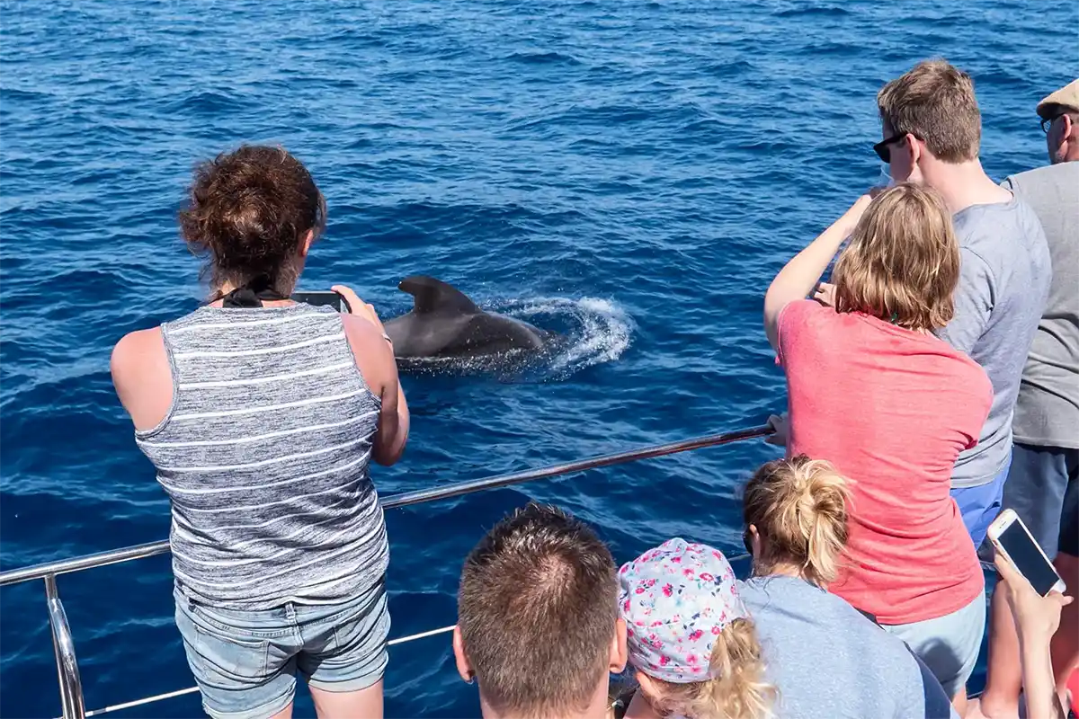 Avistamiento de Cetáceos en Catamarán a Vela - Foto 19