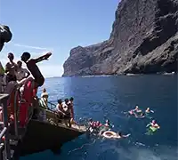Miniatura 2 - Avistamiento de Cetáceos en Catamarán a Vela