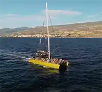 Miniatura 20 - Avistamiento de Cetáceos en Catamarán a Vela