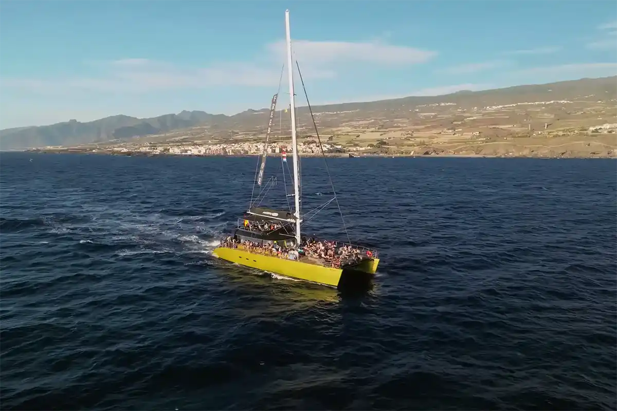 Avistamiento de Cetáceos en Catamarán a Vela - Foto 20