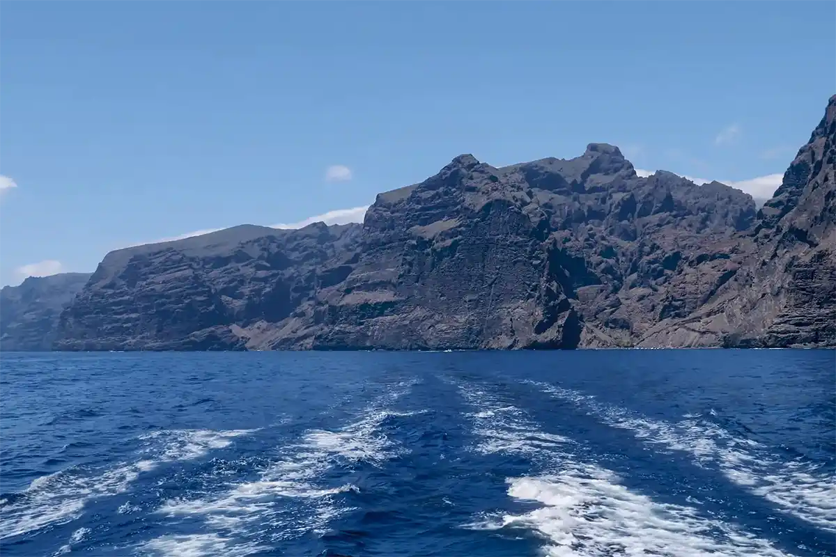 Avistamiento de Cetáceos en Catamarán a Vela - Foto 22