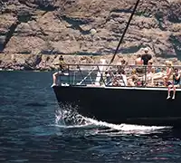 Miniatura 25 - Avistamiento de Cetáceos en Catamarán a Vela