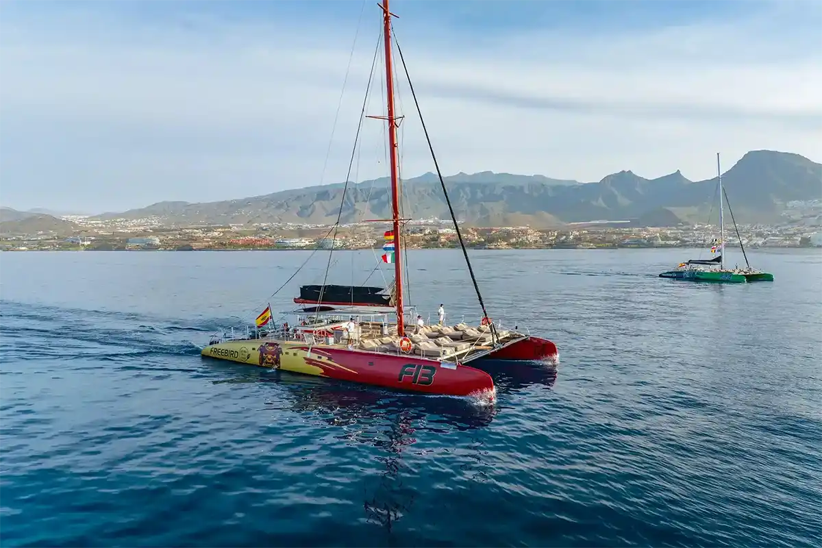 Avistamiento de Cetáceos en Catamarán a Vela - Foto 27