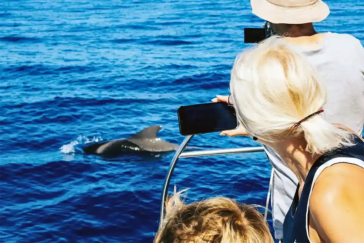 Avistamiento de Cetáceos en Catamarán a Vela - Foto 29