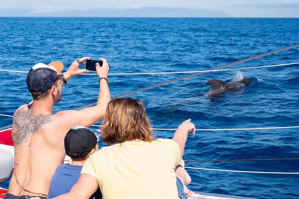 Avistamiento de Cetáceos en Catamarán a Vela - Foto 3