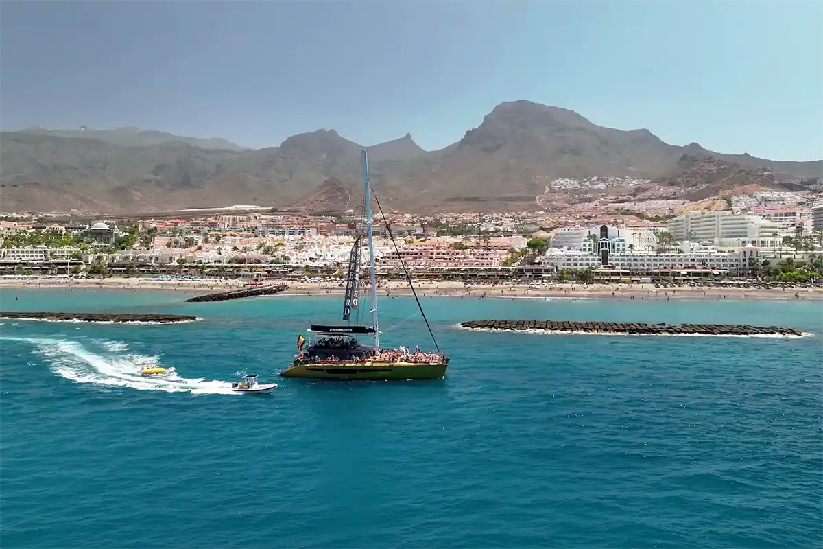 Avistamiento de Cetáceos en Catamarán a Vela - Foto 31