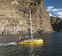 Miniatura 32 - Avistamiento de Cetáceos en Catamarán a Vela