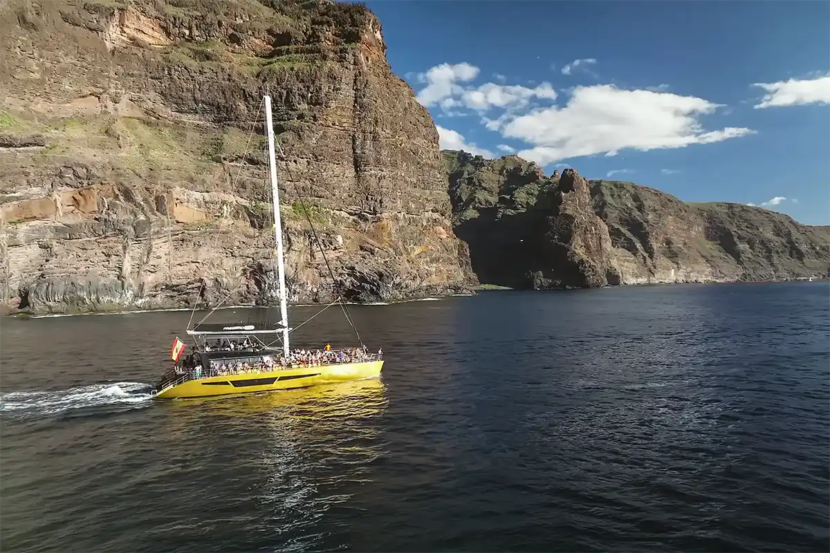 Avistamiento de Cetáceos en Catamarán a Vela - Foto 32